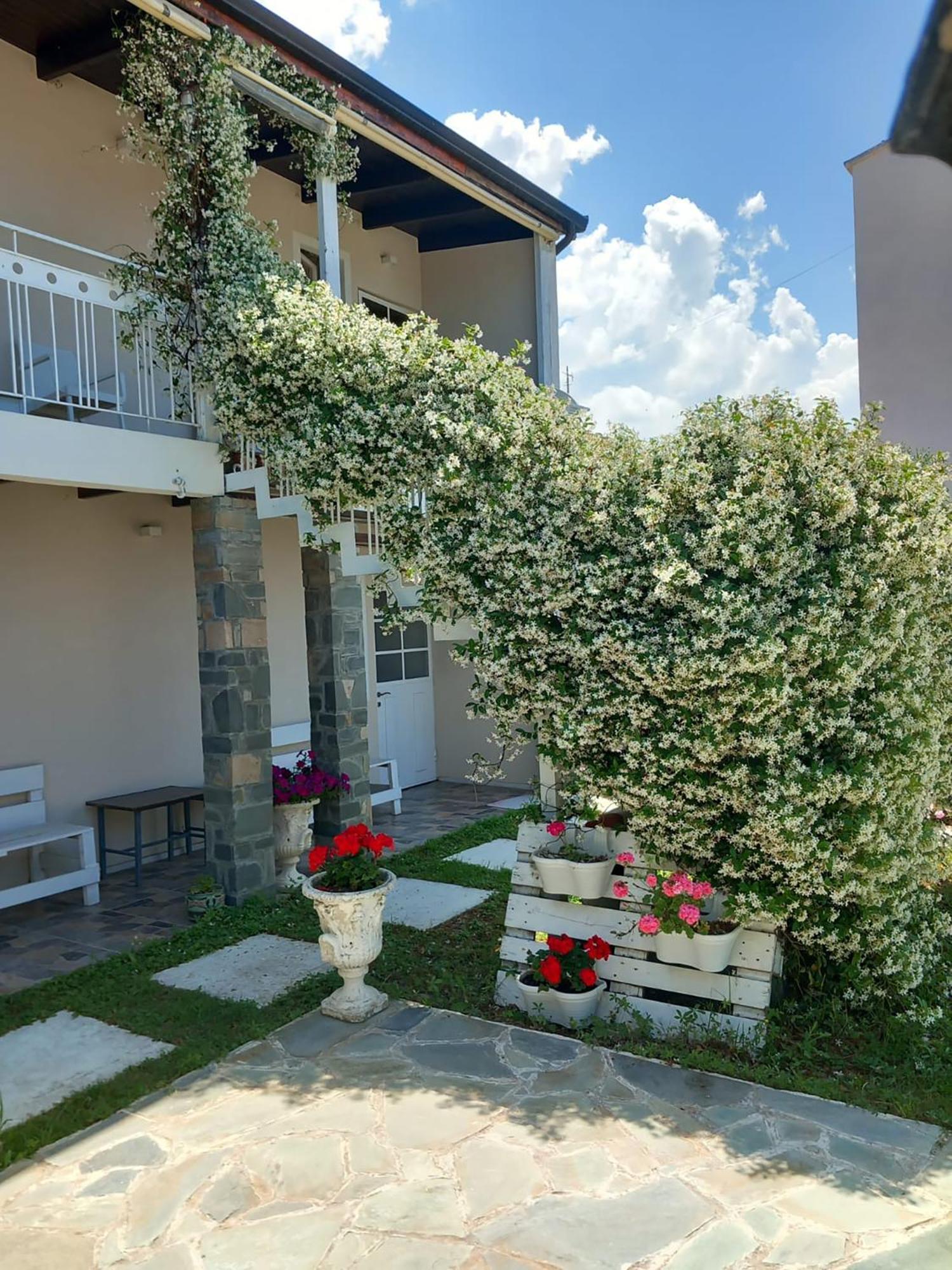 Vlorë Nili Hotel מראה חיצוני תמונה