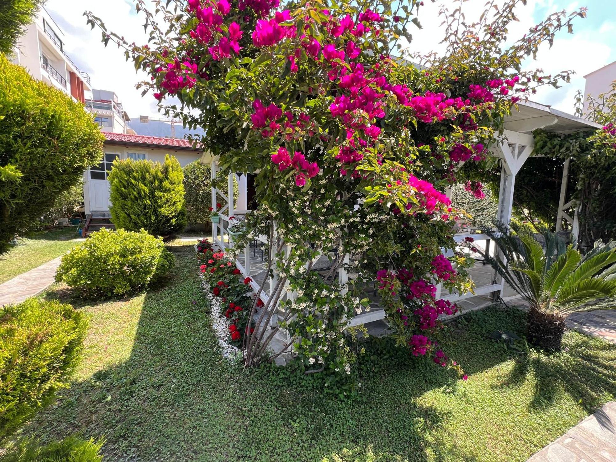 Vlorë Nili Hotel מראה חיצוני תמונה